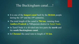 The Buckingham canal….!
 It is one of the longest canal built by the British people
during the 18th and the 19th centuries.
 The total length of the canal is 796 km, running from
Andhra Pradesh to Villupuram district in Tamil Nadu.
 In Tamil Nadu it is divided into two parts the north and
the south Buckingham canal.
 In Chennai the canal runs to length of 31 km.
 