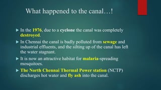 What happened to the canal…!
 In the 1976, due to a cyclone the canal was completely
destroyed.
 In Chennai the canal is badly polluted from sewage and
industrial effluents, and the silting up of the canal has left
the water stagnant.
 It is now an attractive habitat for malaria-spreading
mosquitoes.
 The North Chennai Thermal Power station (NCTP)
discharges hot water and fly ash into the canal.
 