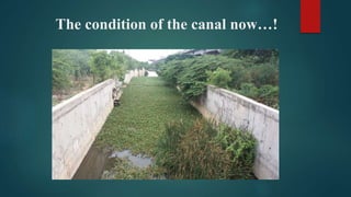 The condition of the canal now…!
 