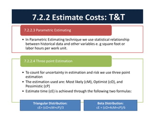 Project cost management | PDF