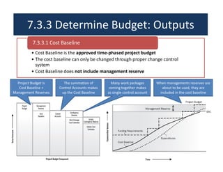 Project cost management | PDF