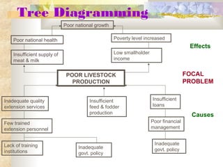 Tree Diagramming
POOR LIVESTOCK
PRODUCTION
Insufficient supply of
meat & milk
Low smallholder
income
Poor national health
Poor national growth
Poverty level increased
Inadequate quality
extension services
Insufficient
feed & fodder
production
Insufficient
loans
Few trained
extension personnel
Lack of training
institutions
Poor financial
management
Inadequate
govt. policyInadequate
govt. policy
Effects
Causes
FOCAL
PROBLEM
POOR LIVESTOCK
PRODUCTION
Insufficient supply of
meat & milk
Poor national health
Poor national growth
 