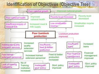 Identification of Objectives (Objective Tree)
Poor livestock
production
Insufficient supply of
meat & milk
Low smallholder
income
Poor national health
Poor national growth
Poverty level increased
Inadequate quality
extension services
Insufficient
feed & fodder
production
Insufficient
loans
Few trained
extension personnel
Lack of training
institutions
Poor financial
management
Inadequate
govt. policyInadequate
govt. policy
Increased
quality
extension
services
Increased trained
extension personnel
No of
Training
institution
increased
Govt. policy
improved
Govt. policy
improved
Increased
loans
Financial
management
improved
Feed & fodder
production
increased
Increased meat &
milk supply
Improved
national health
Smallholder income
increased
Poverty level
decreased
Improved national growth
Livestock production
improved
 