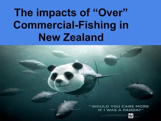 The impacts of “Over”
Commercial-Fishing in
New Zealand
 