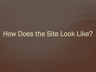 How Does the Site Look Like?

 