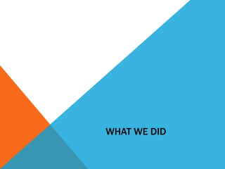 WHAT WE DID
 
