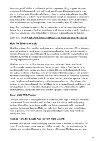 What Is The Meaning Of Mould And Mold? | PDF