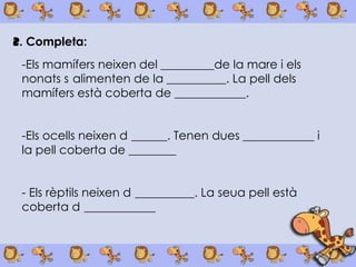 2. Completa:
 -Els íڱ neixen del _________de la mare i els
 nonats s alimenten de la __________. La pell dels
 íڱ està coberta de ____________.


 -Els ocells neixen d ______. Tenen dues ____________ i
 la pell coberta de ________


 - Els rèptils neixen d __________. La seua pell està
 coberta d ____________
 