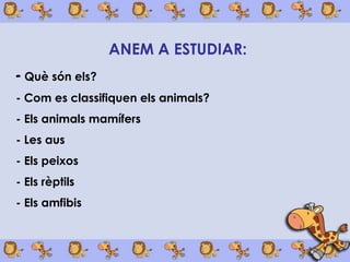 ANEM A ESTUDIAR:
- Què són els?
- Com es classifiquen els animals?
- Els animals íڱ
- Les aus
- Els peixos
- Els rèptils
- Els amfibis
 