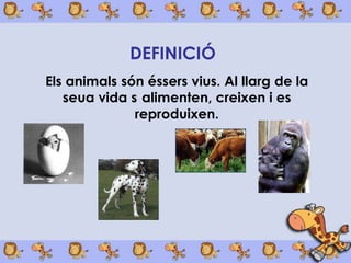 DEFINICIÓ
Els animals són éssers vius. Al llarg de la
   seua vida s alimenten, creixen i es
              reproduixen.
 