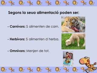 Segons la seua alimentació poden ser:


- Carnívors: S alimenten de carn.


- Herbívors: S alimenten d herba.


- Omnívors: Menjen de tot.
 
