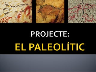 Projecte Paleolític P5