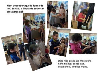 Hem descobert que la forma de
l’ou és clau a l’hora de suportar
tanta pressió!
Dels més petits, als més grans
hem intentat, sense èxit,
esclafar l’ou amb les mans.
 