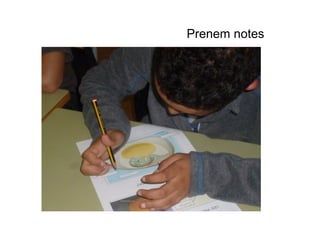 Prenem notes
 