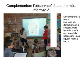 Complementem l’observació feta amb més
informació
Decidim portar a
terme
l’experiència
d’incubar ous a
l’escola. Però
hem de buscar
els materials
necessaris i ens
fiquem mans a
l’obra.
 
