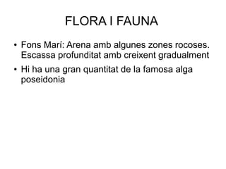FLORA I FAUNA
● Fons Marí: Arena amb algunes zones rocoses.
Escassa profunditat amb creixent gradualment
● Hi ha una gran quantitat de la famosa alga
poseidonia
 