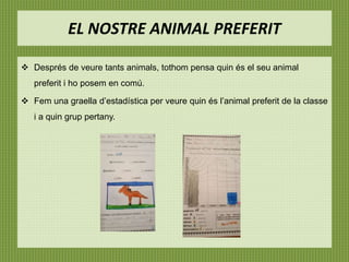 EL NOSTRE ANIMAL PREFERIT
 Després de veure tants animals, tothom pensa quin és el seu animal
preferit i ho posem en comú.
 Fem una graella d’estadística per veure quin és l’animal preferit de la classe
i a quin grup pertany.
 