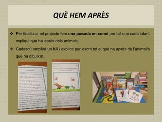 QUÈ HEM APRÈS
 Per finalitzar el projecte fem una posada en comú per tal que cada infant
expliqui què ha après dels animals.
 Cadascú omplirà un full i explica per escrit tot el que ha après de l’animal/s
que ha dibuixat.
 