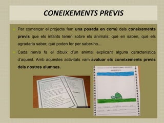 CONEIXEMENTS PREVIS
 Per començar el projecte fem una posada en comú dels coneixements
previs que els infants tenen sobre els animals: què en saben, què els
agradaria saber, què poden fer per saber-ho...
 Cada nen/a fa el dibuix d’un animal explicant alguna característica
d’aquest. Amb aquestes activitats vam avaluar els coneixements previs
dels nostres alumnes.
 