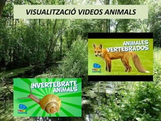 VISUALITZACIÓ VIDEOS ANIMALS
 