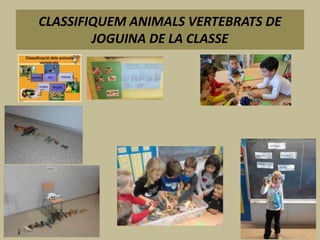 CLASSIFIQUEM ANIMALS VERTEBRATS DE
JOGUINA DE LA CLASSE
 