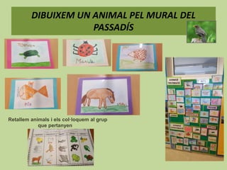 DIBUIXEM UN ANIMAL PEL MURAL DEL
PASSADÍS
Retallem animals i els col·loquem al grup
que pertanyen
 