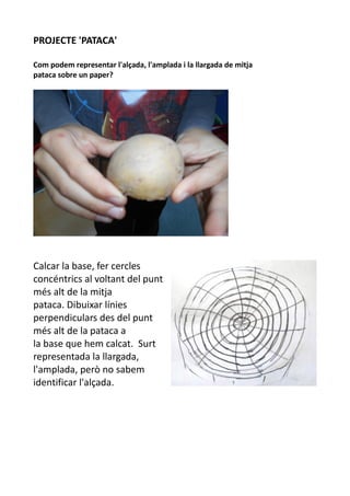 PROJECTE 'PATACA'
Com podem representar l'alçada, l'amplada i la llargada de mitja
pataca sobre un paper?
Calcar la base, ...