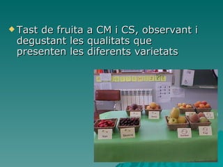 Tast de fruita a CM i CS, observant i degustant les qualitats que presenten les diferents varietats 