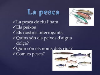 La pesca de riu l’ham
Els peixos
Els nostres interrogants.
Quins són els peixos d’aigua
dolça?
Quin són els noms dels rius?
Com es pesca?
 