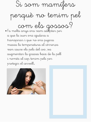 Si som mamífers 
perquè no tenim pel 
com els gossos? ● Fa molts anys ens vam adaptar per 
a que la suor ens ajudara a 
transpirar i que no ens pujara 
massa la temperatura al córrer,es 
van caure els pels del cos ,va 
augmentar la grassa baix de la pell 
i només al cap tenim pels per 
protegir el cervell. 
