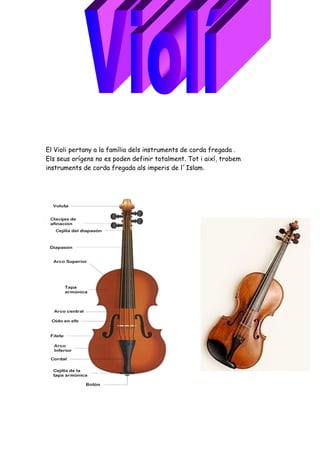 El Violi pertany a la família dels instruments de corda fregada .
Els seus orígens no es poden definir totalment. Tot i així, trobem
instruments de corda fregada als imperis de l´Islam.
 