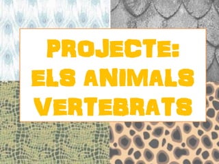 PROJECTE:
ELS ANIMALS
VERTEBRATS
 