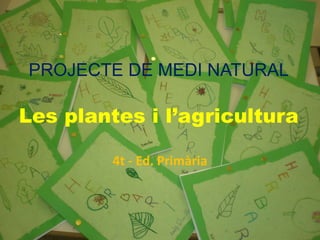 PROJECTE DE MEDI NATURAL
Les plantes i l’agricultura
4t - Ed. Primària
 