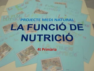 4t Primària
 