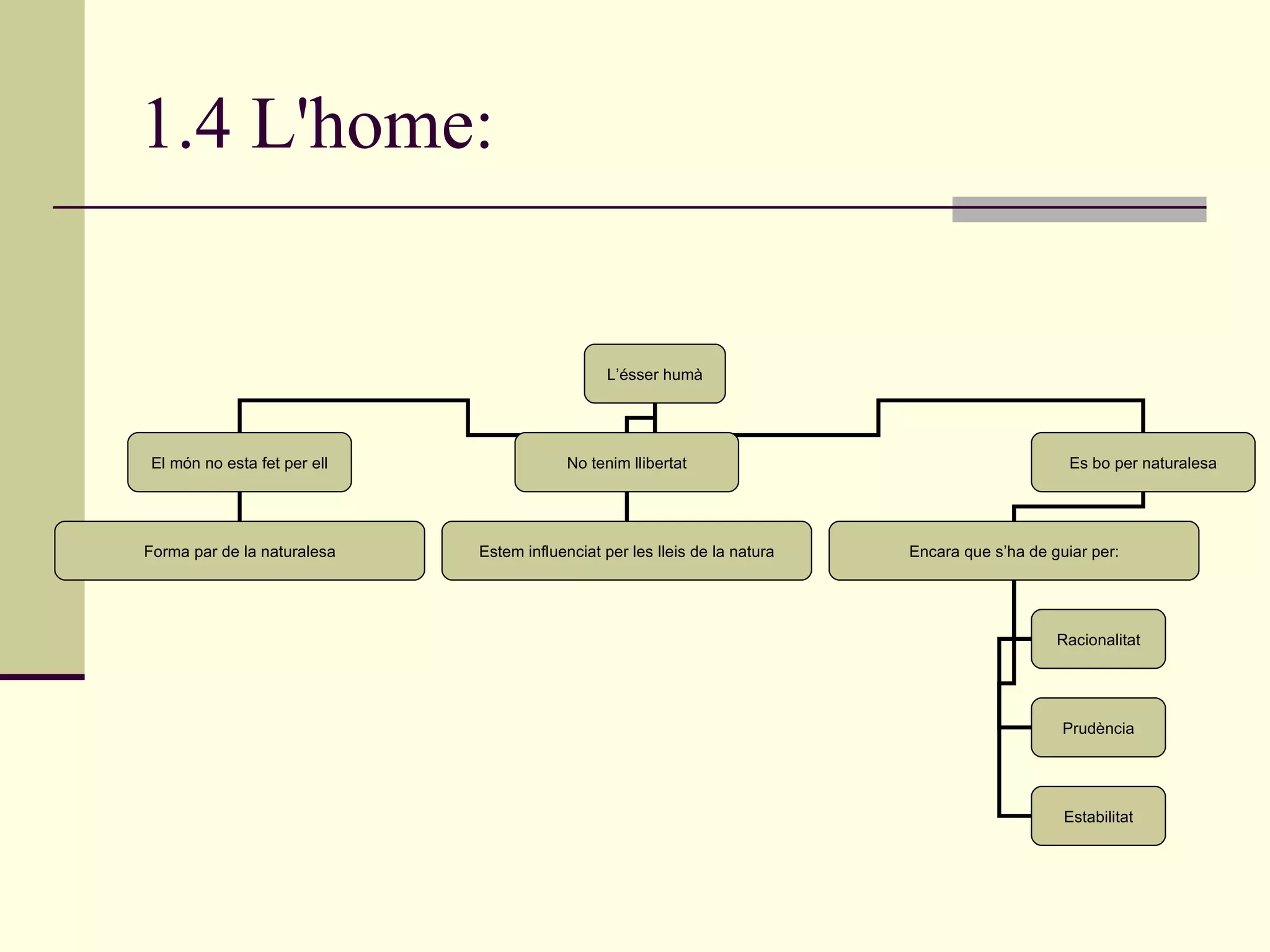 1.4 L'home: L’ésser humà El món no esta fet per ell No tenim llibertat Es bo per naturalesa Forma par de la naturalesa Estem influenciat per les lleis de la natura Encara que s’ha de guiar per: Racionalitat Prudència Estabilitat 