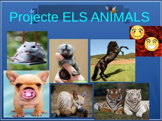 Projecte ELS ANIMALS
 