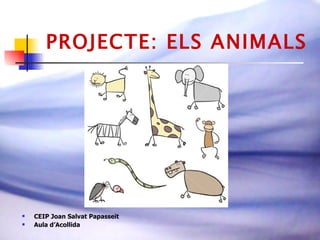 PROJECTE: ELS ANIMALS ,[object Object],[object Object]
