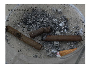 EL FUM DEL TABAC...