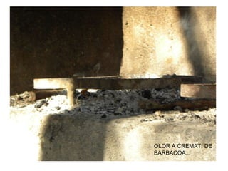 OLOR A CREMAT, DE BARBACOA...