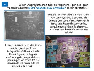 4             Va ser una pregunta molt fàcil de respondre, i per això, quan
    va sorgir aquesta; D’ON NEIXEN ELS CAVALLS?, la vam aprofitar...

                                       Vam fer un gran dibuix a la pissarra i
                                          vam començar poc a poc amb els
                                        animals que coneixíem... Però per la
                                          tarda vam haver d’esborrar-ho,
                                         perquè necessitàvem la pissarra...
                                         Així que vam haver de buscar una
                                                      solució!




Els nens i nenes de la classe van
      pensar que si portaven
  fotografies d’altres animals;
    lleons, tigres, tortugues,
 elefants, gats, serps, dofins...
  podíem pensar entre tots si
  naixien de les panxes de les
       mames o dels ous...
 