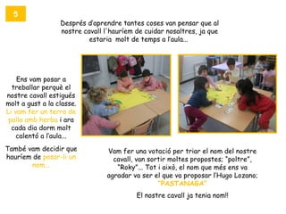 5
                  Després d’aprendre tantes coses van pensar que al
                  nostre cavall l'hauríem de cuidar nosaltres, ja que
                           estaria molt de temps a l’aula...




    Ens vam posar a
  treballar perquè el
nostre cavall estigués
molt a gust a la classe.
Li vam fer un terra de
 palla amb herba i ara
  cada dia dorm molt
    calentó a l’aula...
També vam decidir que            Vam fer una votació per triar el nom del nostre
hauríem de posar-li un             cavall, van sortir moltes propostes; “poltre”,
        nom...                      “Roky”... Tot i això, el nom que més ens va
                                 agradar va ser el que va proposar l’Hugo Lozano;
                                                  “PASTANAGA”
                                          El nostre cavall ja tenia nom!!
 