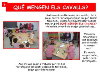 6
    QUÈ MENGEN ELS CAVALLS?
                               Havíem après moltes coses dels cavalls, i tot i
                              que el nostre Pastanaga tenia un lloc per dormir
                               i tenia nom... Encara no li havíem posat res per
                              menjar, però ¿QUÈ MENGEN ELS CAVALLS?
                               No podíem donar-li de menjar qualsevol cosa...


                                                                  Vam mirar
                                                                 fotografies i
                                                                vam concloure
                                                                que els cavalls
                                                                  no mengen
                                                                    carn...
                                                                  Els cavalls
                                                                mengen herba,
                                                                 palla, fruita,
                                                                pastanagues...
      Així ens vam posar a treballar per fer-li al
    Pastanaga un bon àpat!! Després de tants dies...
              Segur que té molta gana!!
 
