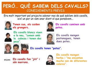 PERÒ… QUÈ SABEM DELS CAVALLS?
                     CONEIXEMENTS PREVIS
Era molt important pel projecte adonar-nos de què sabíem dels cavalls,
           així un per un vam anar dient el que pensàvem...

         Tenen cua, els cuiden               Els cavalls caminen amb
         els grangers.                       potes.
         Els cavalls blancs viuen
         a la neu, “comen amb                 Els cavalls mengen
         la cabeza i tenen dos                pastanagues, tenen
         peus”.                               dues potes.

                         Els cavalls tenen “patas”.

                                              Els cavalls mengen
                                              herba i “me encantan
KYLIAN   Els cavalls fan “jiiii” i
                                              mucho son de diferentes
         són marrons.
                                              colores”.
 