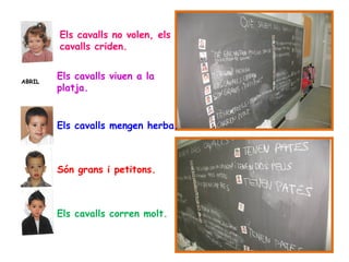 Els cavalls no volen, els
        cavalls criden.


ABRIL
        Els cavalls viuen a la
        platja.


        Els cavalls mengen herba.



        Són grans i petitons.



        Els cavalls corren molt.
 