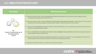PRESENTACIÓ
2.2. OBJECTIUS PRIORITARIS
Ecosistema Objectius prioritaris
E2 /
Creació d’oportunitats per al
desenvolupament
docent
2.1. Dissenyar, gestionar, pilotar i avaluar experiències de formació i auto formació, que contribueixin al desenvolupament de les
competències professionals dels docents del s.XXI.
2.2. Dissenyar, gestionar, pilotar i avaluar “Experiències d’aprenentatge transformadores entre iguals”, fonamentades en el TAS, les quals
que potenciïn la innovació pedagògica, la reflexió sobre la pràctica i l’obtenció d’evidències d’èxit educatiu.
2.3. Dissenyar recursos pedagògics innovadors (materials i propostes didàctiques, eines conceptuals) que promoguin la innovació en les
pràctiques d’ensenyament-aprenentatge.
2.4. Oferir un catàleg dinàmic d’experiències formatives i recursos pedagògics d’ús personalitzat en funció de les necessitats i objectius
d’aprenentatge de cadascun dels docents.
2.5. Dissenyar i implementar eines per a l’avaluació de l’impacte de les experiències formatives i recursos pedagògics en relació amb el
desenvolupament de les competències docents i els canvis en les pràctiques educatives.
2.6. Gestionar les activitats formatives i comunicar els productes del catàleg 2
 