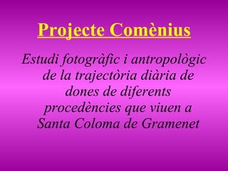 Projecte Comènius ,[object Object]