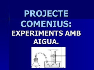 PROJECTE COMENIUS:  EXPERIMENTS AMB AIGUA. 