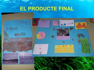 EL PRODUCTE FINAL
 