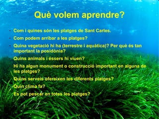 Què volem aprendre?
● Com i quines són les platges de Sant Carles.
● Com podem arribar a les platges?
● Quina vegetació hi ha (terrestre i aquàtica)? Per què és tan
important la posidònia?
● Quins animals i éssers hi viuen?
● Hi ha algun monument o construcció important en alguna de
les platges?
● Quins serveis ofereixen les diferents platges?
● Quin clima fa?
● Es pot pescar en totes les platges?
 