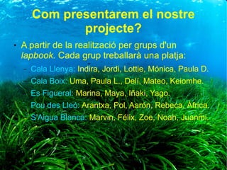 Com presentarem el nostre
projecte?
● A partir de la realització per grups d'un
lapbook. Cada grup treballarà una platja:
– Cala Llenya: Indira, Jordi, Lottie, Mónica, Paula D.
– Cala Boix: Uma, Paula L., Delí, Mateo, Keiomhe.
– Es Figueral: Marina, Maya, Iñaki, Yago.
– Pou des Lleó: Arantxa, Pol, Aarón, Rebeca, Àfrica.
– S'Aigua Blanca: Marvin, Félix, Zoe, Noah, Juanmi.
 